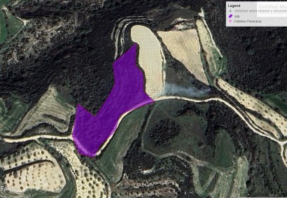 Theletra, Paphos Agricultural Land For Sale | 6660