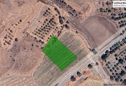Amargeti, Paphos Agricultural Land For Sale | 6706