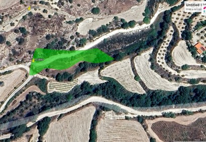 Amargeti, Paphos Agricultural Land For Sale | 6769
