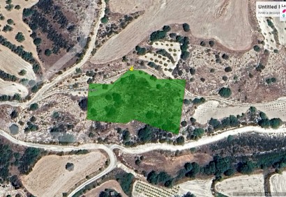 Amargeti, Paphos Agricultural Land For Sale | 6770