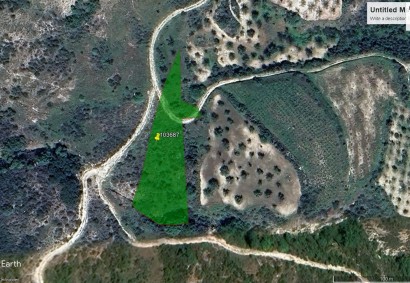 Theletra, Paphos Agricultural Land For Sale | 6774