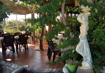 Tala, Paphos Business For Sale | 6790