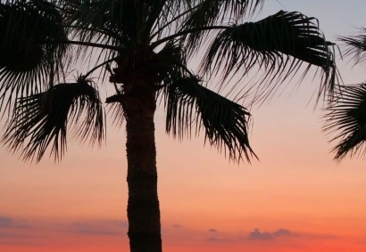 Anavargos, Paphos Commercial Land For Sale | 6902