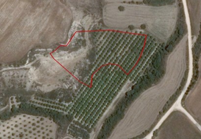 Polis Chrysochous, Paphos Agricultural Land For Sale | 6961